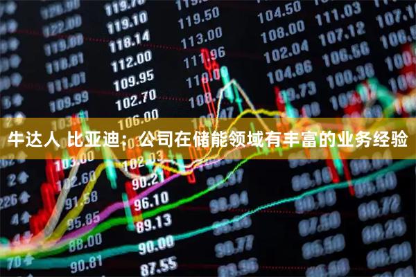 牛达人 比亚迪：公司在储能领域有丰富的业务经验