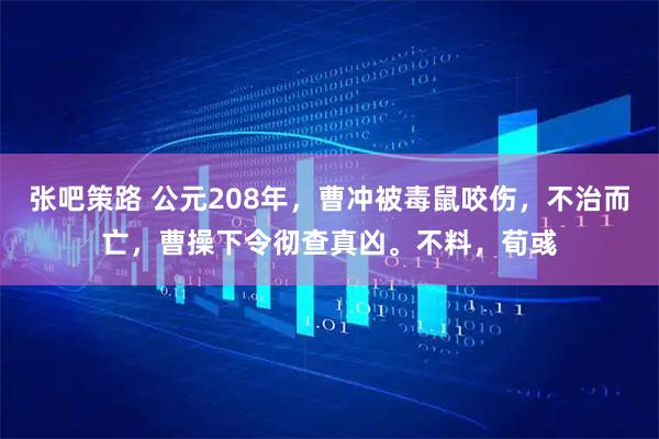 张吧策路 公元208年，曹冲被毒鼠咬伤，不治而亡，曹操下令彻查真凶。不料，荀彧